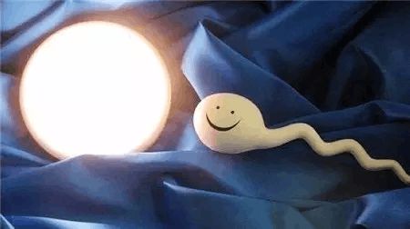 关于代生选性别包男孩
